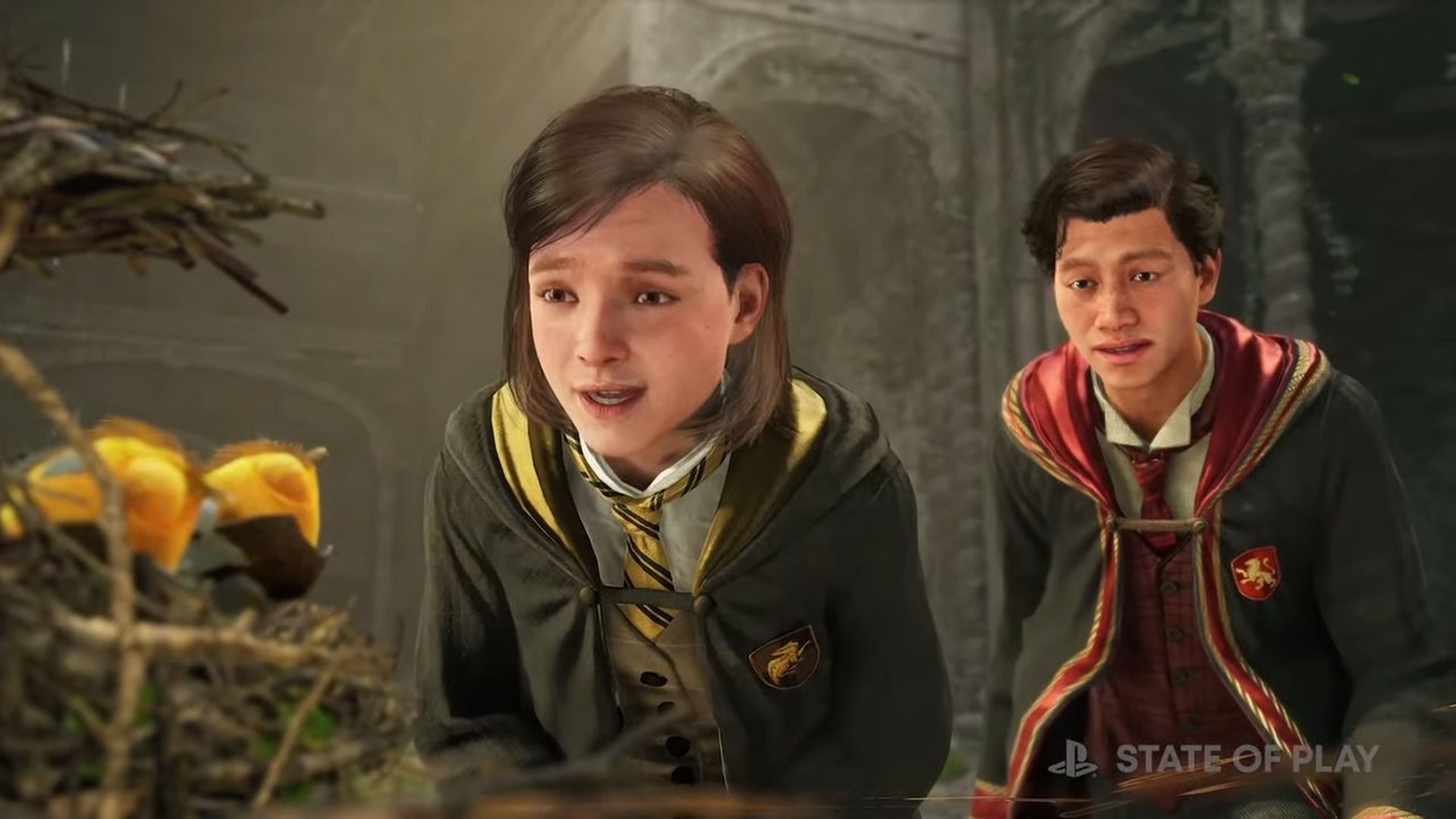 PS5 Games - Hogwarts Legacy