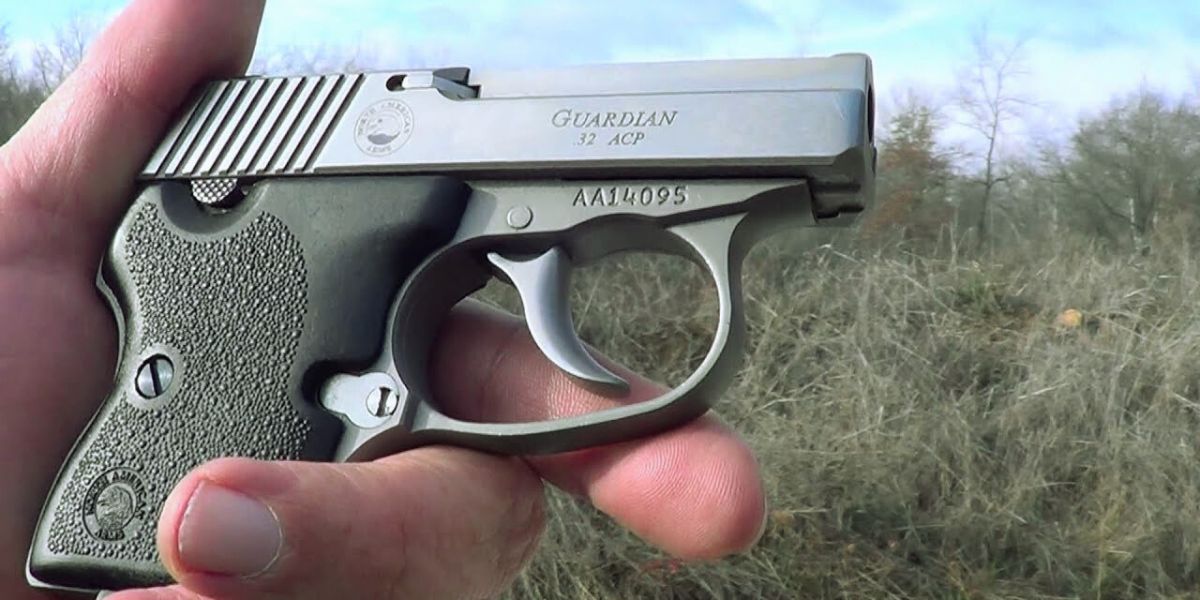 NAA Guardian 32 ACP