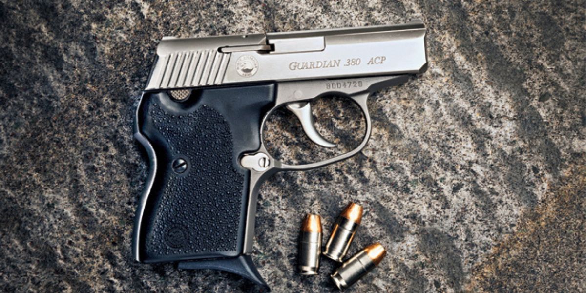 NAA Guardian 380 ACP