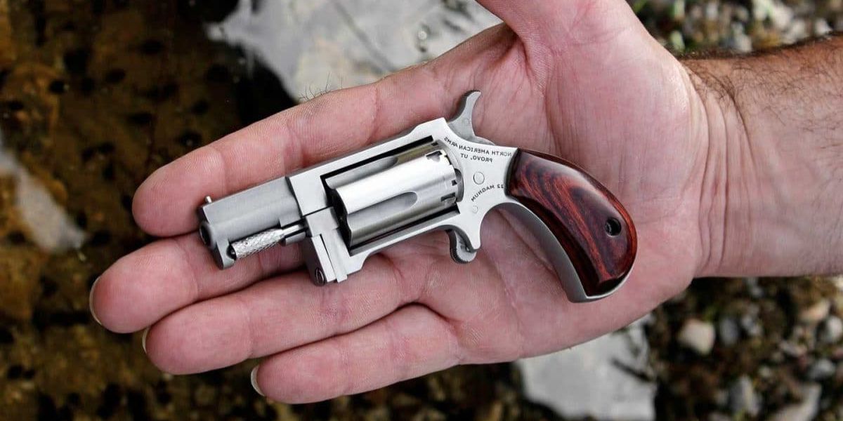 North American Arms .22 Long Rifle Mini-Revolver