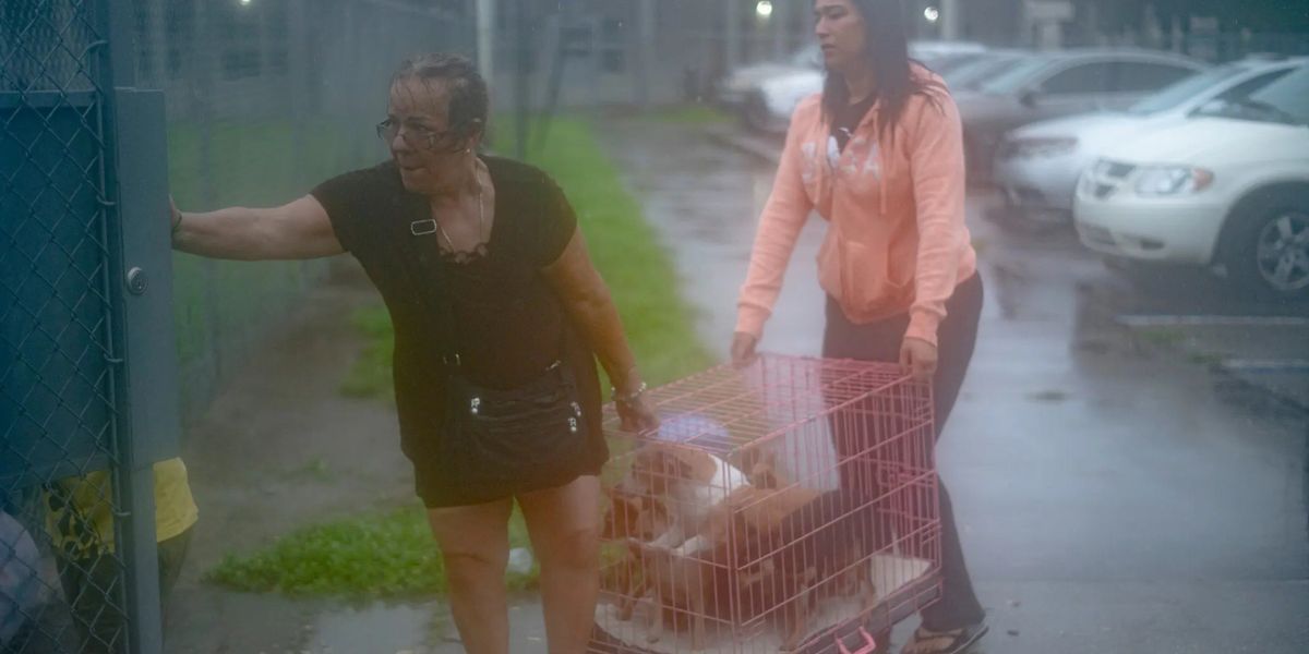 Residents Brought Their Pets To The Shelter In Tampa