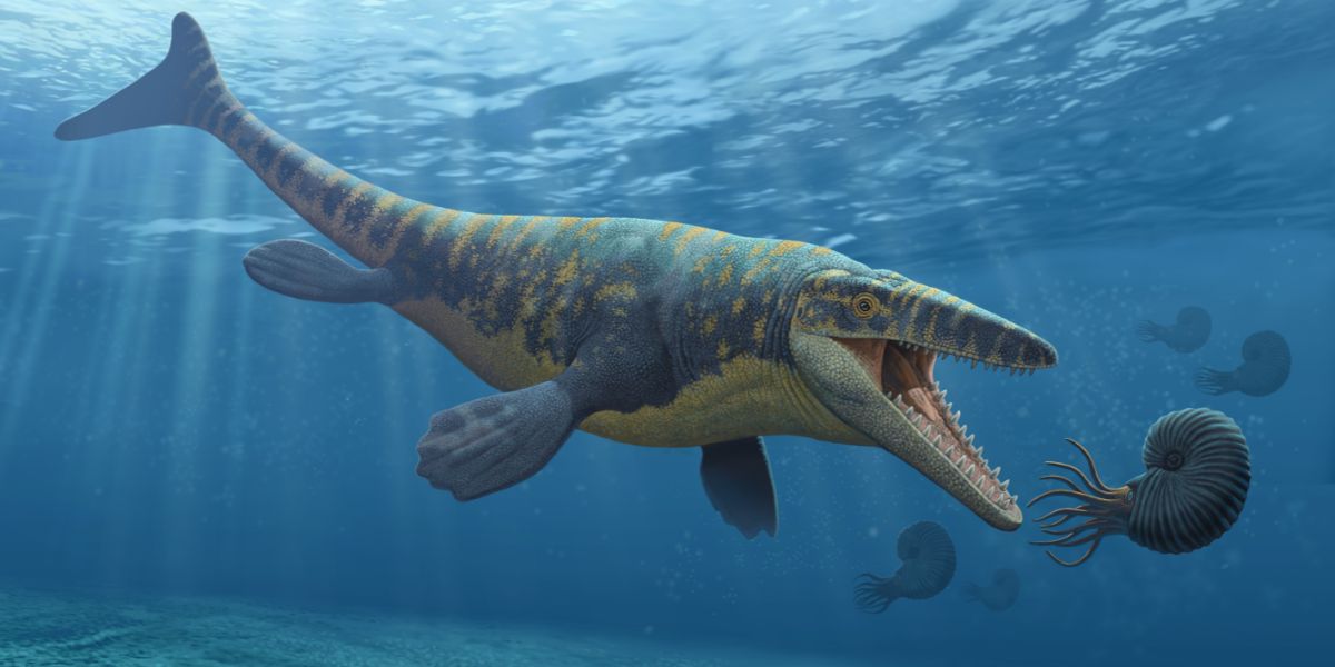 Tylosaurus