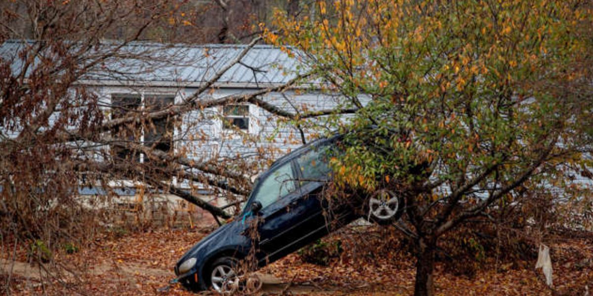 A Car Struck In The Tree