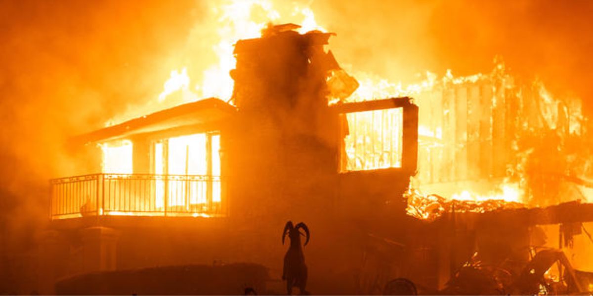 Damage caused by the devastating wildfire