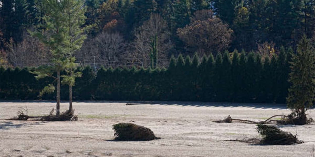 Front 9 Holes Of Asheville Municipal Golf Course Covered Due To Sand