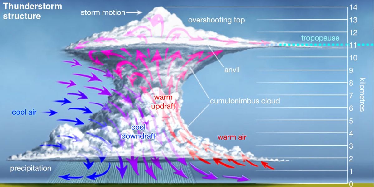 How are predictions made?