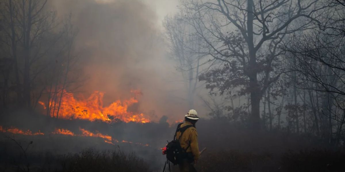 Jennings Creek Wildfire