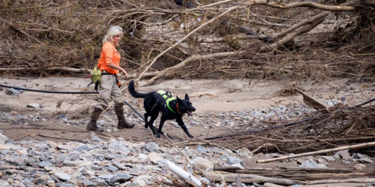 Lisa Briggs And A German Shepherd Become Part Of The Search Operation