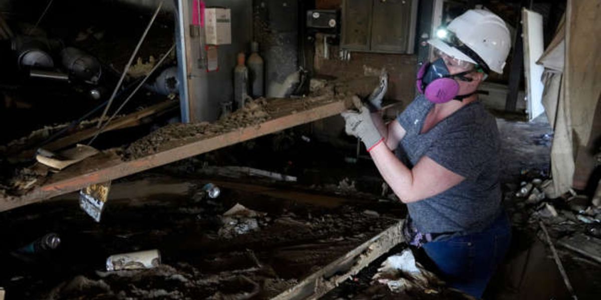 Madeline Stoddart Helps In Cleaning Wedge Brewing Co.