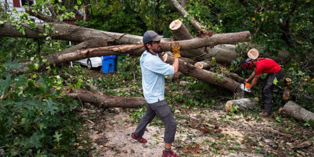 Resident Helps In Cleaning Fallen Trees