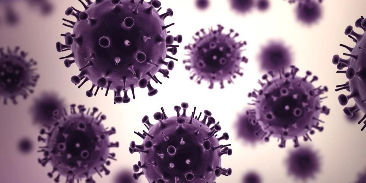 The 1918 Flu was an H1N1 virus