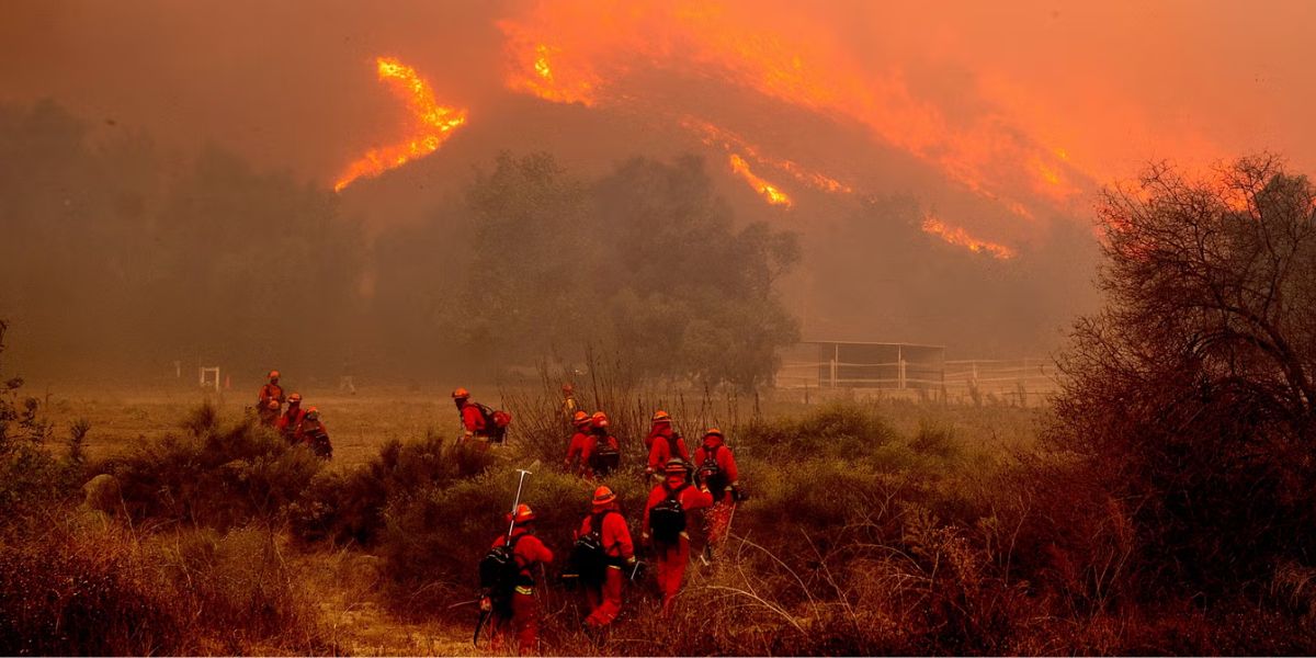 What people and Ventura County Fire Department Chief have to say!