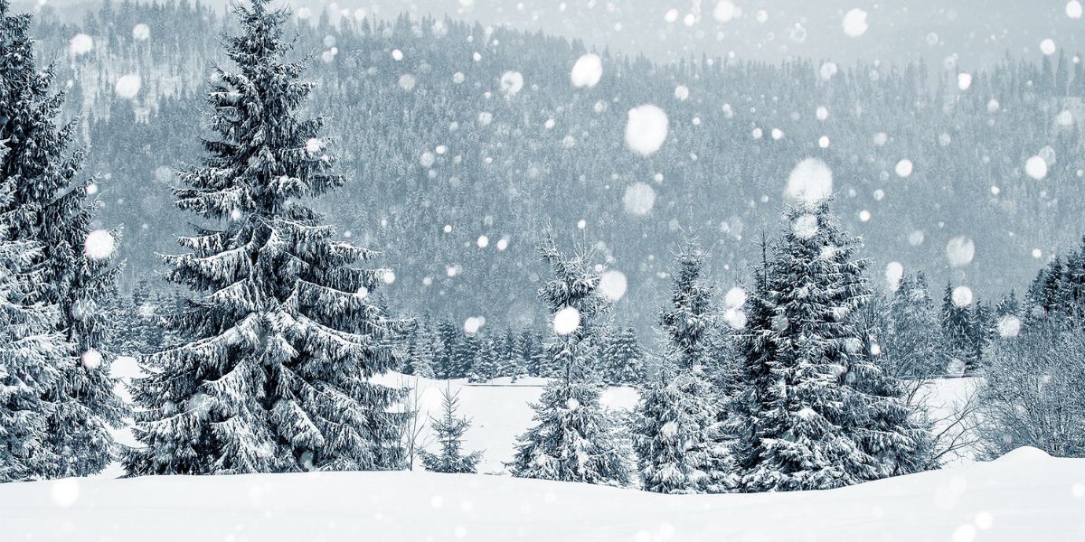 Map Shows the States Where it Will be a snowy Christmas