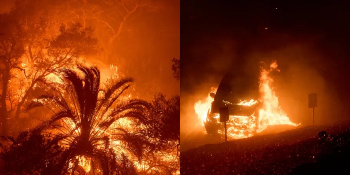 Burning trees and scorched car