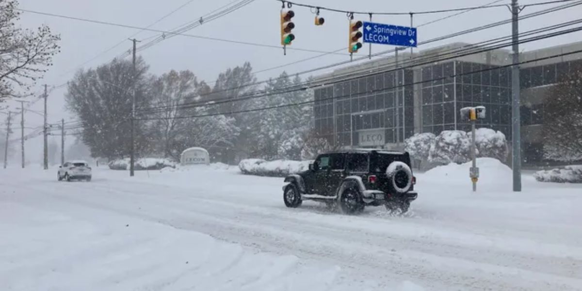 Cold weather warnings and freeze watches in these states