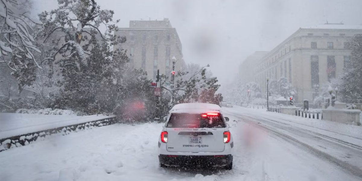 States with the highest chance of receiving snow